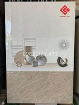 Ốp tường 30x60 viglacera 66001