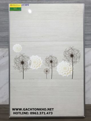 Gạch Ốp Tường 30x60 giá rẻ tồn kho CE3608