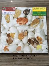 GẠCH NHÀ TẮM 30x30 AH3306