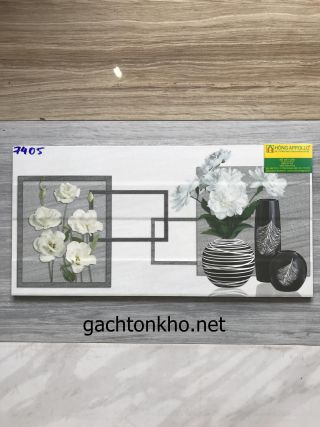 Gạch ốp tường 30x60 7405