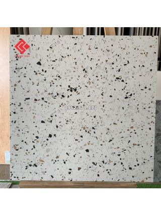 Gạch giả đá terrazo 60x60 lát nền