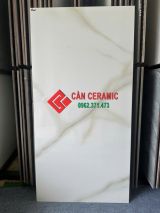 Gạch bóng kiếng 60x120 ấn độ vân đá ms1