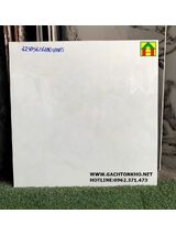 Đá bóng kiếng toàn phần 60x60 đẹp mê mẩn