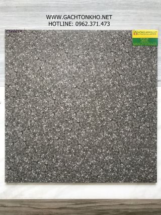 Gạch Lát Nền 60x60 Đá Mờ Tồn Kho cao cấp CTN6654