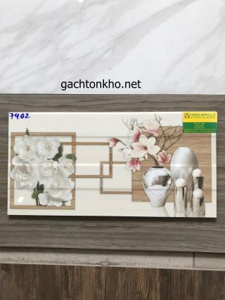 Gạch ốp tường 30x60 7402