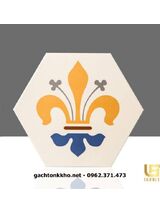 Gạch bông lục giác giá rẻ ms01