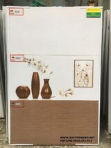 Gạch 30x60 ốp wc cao cấp giá rẻ