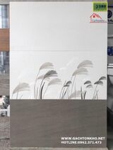 Gạch ốp tường phòng ngủ 30x60 men mờ cao cấp