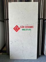 Gạch 60x120 mờ vân đá xám nhạt max96m