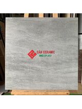 Gạch 60x60 nhám mờ xám ghi nhạt viglacera 203