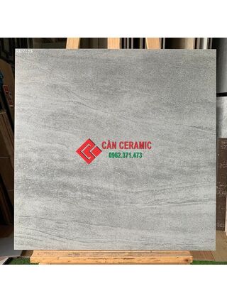 Gạch 60x60 nhám mờ xám ghi nhạt viglacera 203