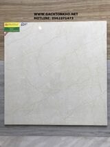 Gạch bóng kiếng Sunrise 60x60 lát nền 6061