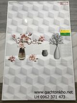 Gạch ốp tường 30x60 tồn kho giá rẻ P342