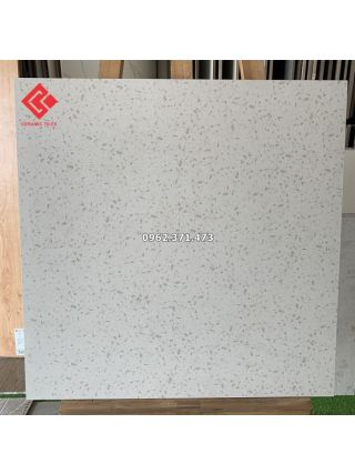Gạch đá mài Terrazo 60x60 lát nền
