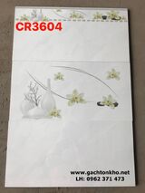 Gạch men ốp tường màu trắng 30x60 mới
