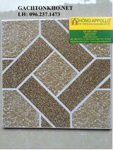 Gạch nhà tắm 25x25 TM2639
