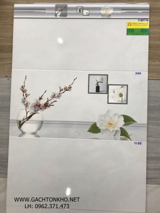 Gạch bộ ốp tường 30x60 tồn kho giá rẻ 3107TH